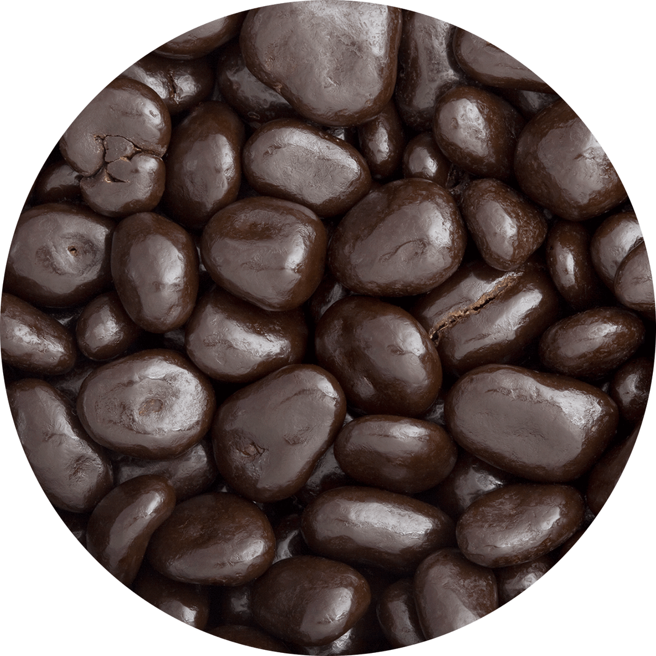 Dark Chocolate Cranberries