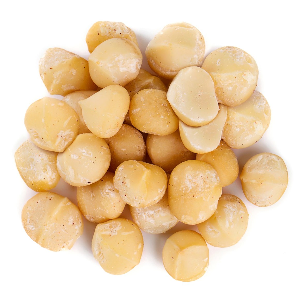 Salted Macadamia Nuts