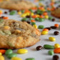Sunbursts Rainbow Candy Coated Chocolatey Covered Sunflower Seeds