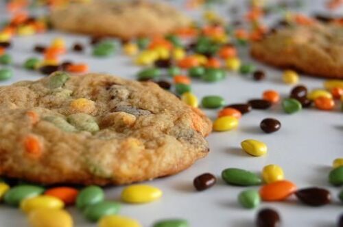 Sunbursts Rainbow Candy Coated Chocolatey Covered Sunflower Seeds