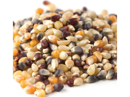 Tricolor Popcorn Kernels